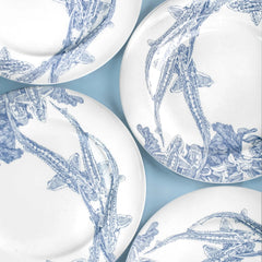 Gift package "Plate" BelugaFarm x ZINAIDA YUSOVA