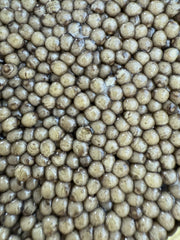 Классический Осетр Caspian Gold