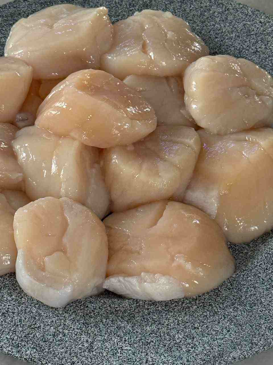 Wild Fresh Scallop XXXL