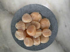 Wild Fresh Scallop XXXL