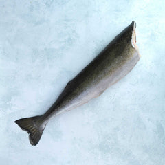 BLACK COD GUTTED HEADLESS FROZEN