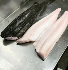 BLACK COD GUTTED HEADLESS FROZEN