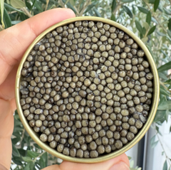 Special Offer Hybrid & Organic Osetra Duet