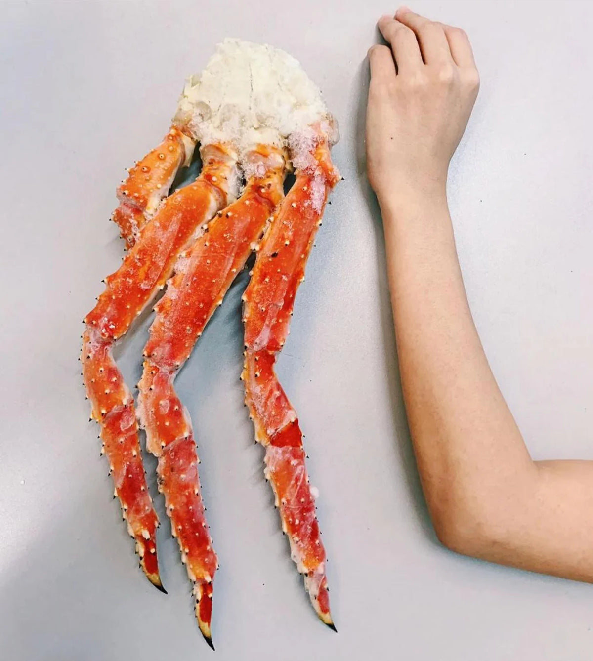 Red King Crab (Section) 5L